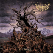 Vulvodynia - Entabeni