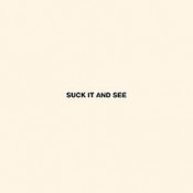 Arctic monkeys - Suck It And See