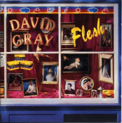 David Gray - Flesh