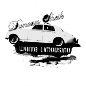 Duncan Sheik - White Limousine
