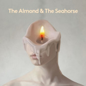 Gruff Rhys - The Almond & the Seahorse