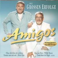 Amigos - Die grossen Erfolge
