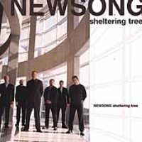 NewSong - Sheltering Tree