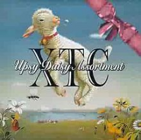 XTC - Upsy Daisy Assortment