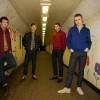 The Spitfires