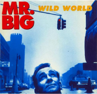 Mr. Big - Wild World