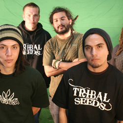 Tribal Seeds