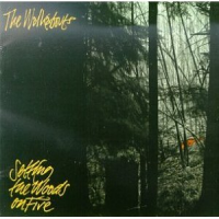 The Walkabouts - Setting The Woods On Fire