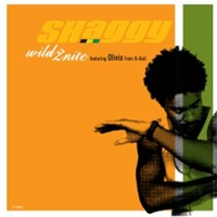 Shaggy - Wild 2nite