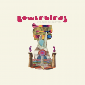 Bowerbirds - Becalmyounglovers