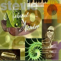 Stevie Wonder - Natural Wonder