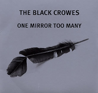 The Black Crowes - One Mirror Too Many