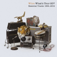 Wilco - What's Your 20?