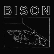 Bison (Bison B. C.) - One Thousand Needles
