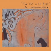 Graham Coxon - The Sky Is Too High