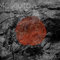 Mosquito - We ARe SOCIETY