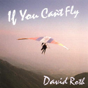 David Roth - If You Can't Fly