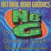 Natural Born Grooves - The Groovebird System