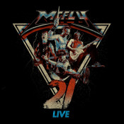 McFly - 21 Live