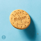 Mason - Frisky Biscuits