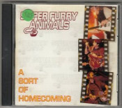 Super Furry Animals - A Sort Of Homecoming