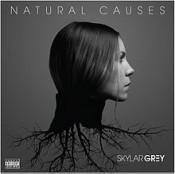 Skylar Grey - Natural Causes
