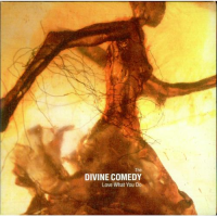 The Divine Comedy - Love What You Do