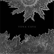Vena Cava - VENA CAVA