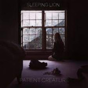 Sleeping Lion - Patient Creature