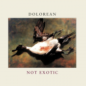 Dolorean - Not Exotic