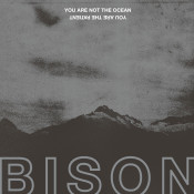 Bison (Bison B. C.) - You Are Not the Ocean You Are the Patient