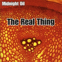 Midnight Oil - The Real Thing