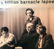 A Trillion Barnacle Lapse