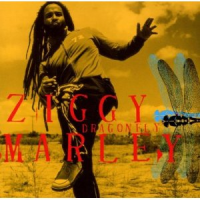 Ziggy Marley - Dragonfly