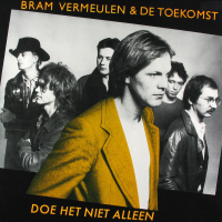 Bram Vermeulen - Doe het niet alleen