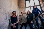 Gov't Mule