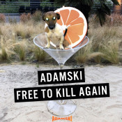 Adamski - Free to Kill Again