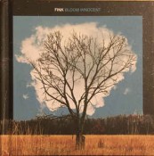 Fink - Bloom Innocent