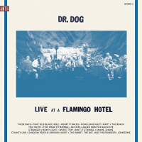 Dr. Dog - Live at a Flamingo Hotel