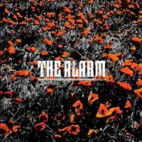 The Alarm - In The Poppy Fields