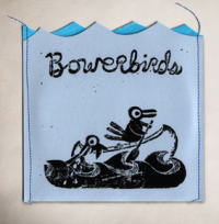 Bowerbirds - Danger At Sea