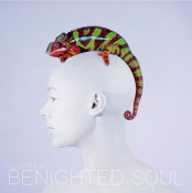 Benighted Soul - Cluster B