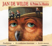 Jan De Wilde - Poolijskap