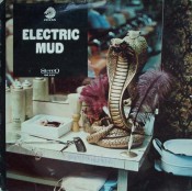Muddy Waters - Electric Mud