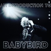 Babybird - An Introduction To
