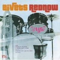 Stevie Wonder - Eivets Rednow