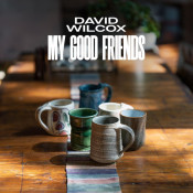 David Wilcox - My Good Friends