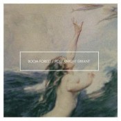 Boom Forest - Post Knight Errant