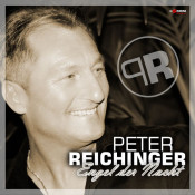 Peter Reichinger - Engel der Nacht