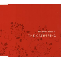 The Gathering - You Learn About It